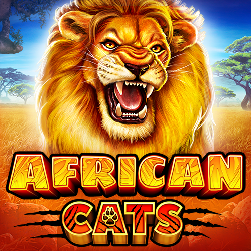 African Cats 96
